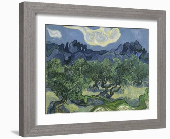 Van Gogh, Olive Trees-null-Framed Giclee Print