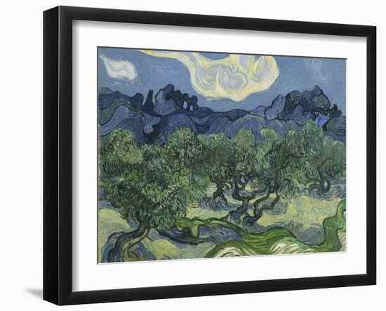 Van Gogh, Olive Trees-null-Framed Giclee Print