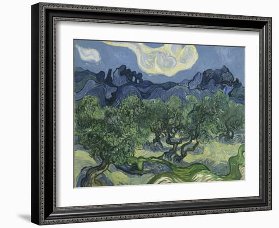 Van Gogh, Olive Trees-null-Framed Giclee Print