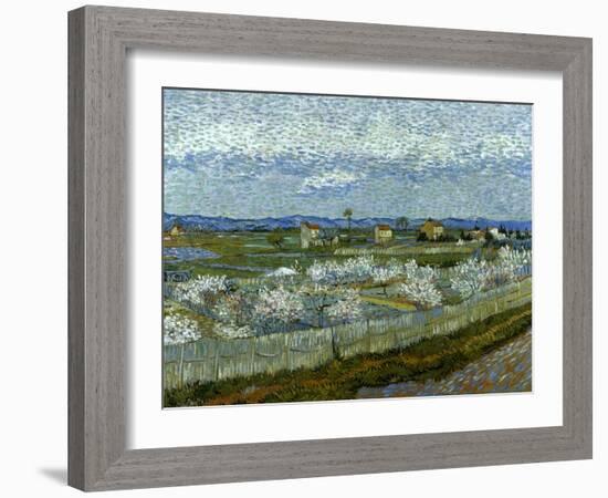 Van Gogh: Peach Tree, 1889-Vincent van Gogh-Framed Giclee Print