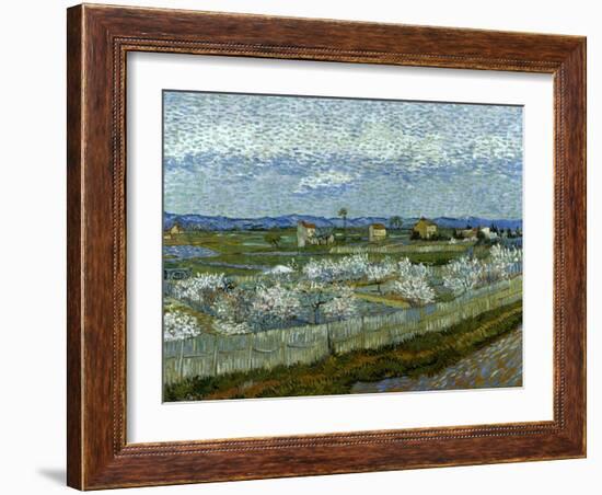 Van Gogh: Peach Tree, 1889-Vincent van Gogh-Framed Giclee Print