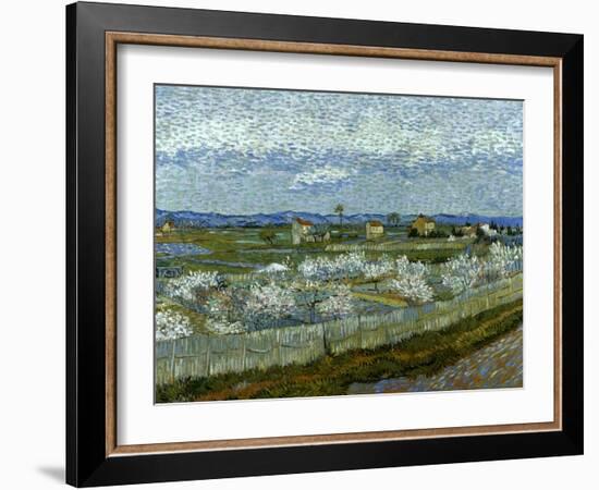 Van Gogh: Peach Tree, 1889-Vincent van Gogh-Framed Giclee Print