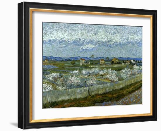 Van Gogh: Peach Tree, 1889-Vincent van Gogh-Framed Giclee Print