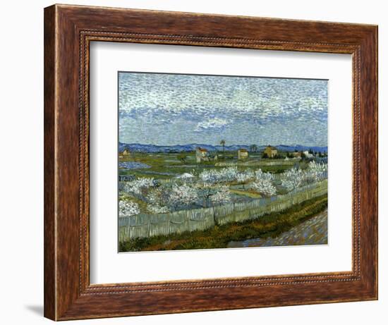 Van Gogh: Peach Tree, 1889-Vincent van Gogh-Framed Giclee Print