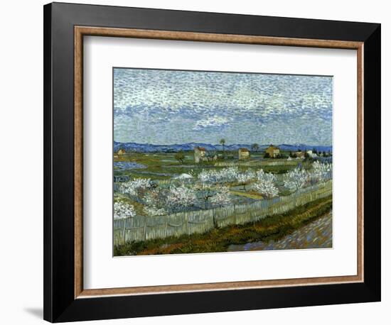 Van Gogh: Peach Tree, 1889-Vincent van Gogh-Framed Giclee Print