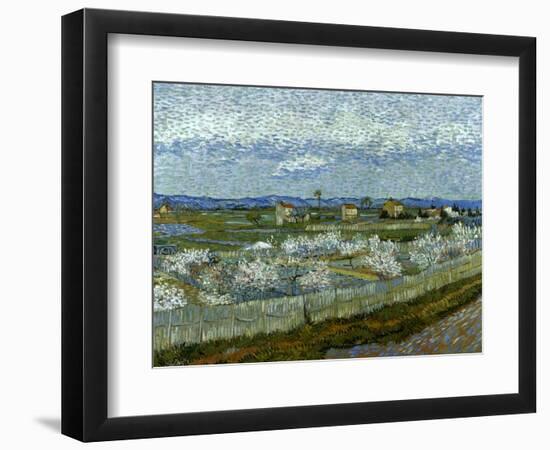 Van Gogh: Peach Tree, 1889-Vincent van Gogh-Framed Giclee Print