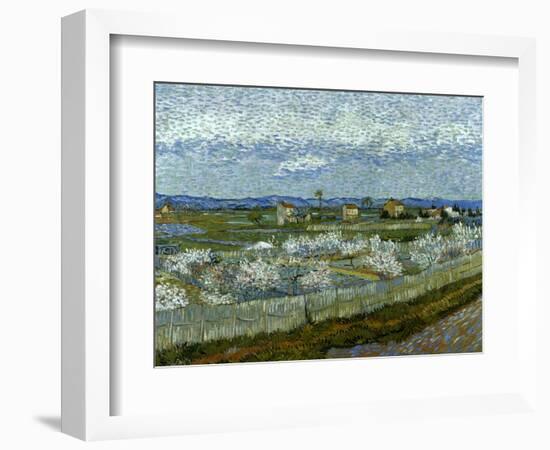 Van Gogh: Peach Tree, 1889-Vincent van Gogh-Framed Giclee Print