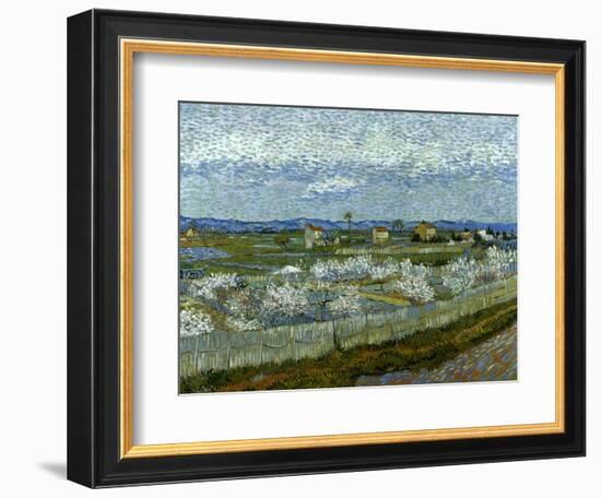 Van Gogh: Peach Tree, 1889-Vincent van Gogh-Framed Giclee Print