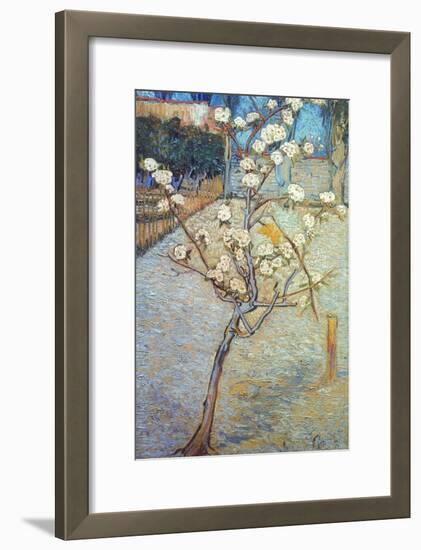 Van Gogh: Peartree, 1888-Vincent van Gogh-Framed Giclee Print