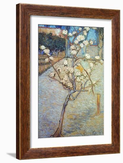 Van Gogh: Peartree, 1888-Vincent van Gogh-Framed Giclee Print