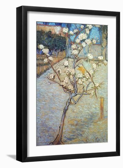 Van Gogh: Peartree, 1888-Vincent van Gogh-Framed Giclee Print