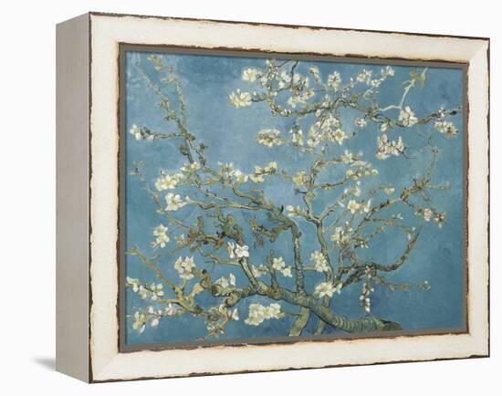 Van Gogh's Almond Blossom-Vincent Van Gogh-Framed Stretched Canvas