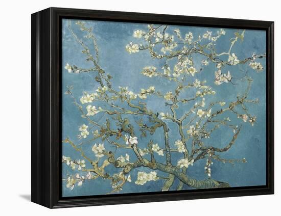 Van Gogh's Almond Blossom-Vincent Van Gogh-Framed Stretched Canvas