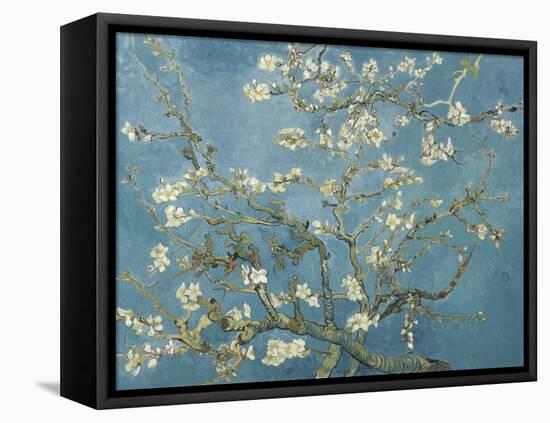 Van Gogh's Almond Blossom-Vincent Van Gogh-Framed Stretched Canvas