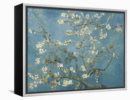 Van Gogh's Almond Blossom-Vincent Van Gogh-Framed Stretched Canvas