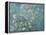 Van Gogh's Almond Blossom-Vincent Van Gogh-Framed Stretched Canvas