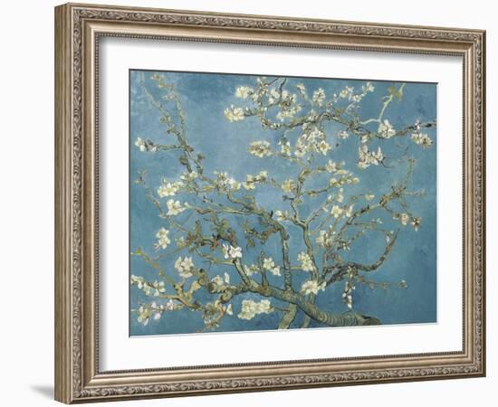 Van Gogh's Almond Blossom-Vincent Van Gogh-Framed Art Print