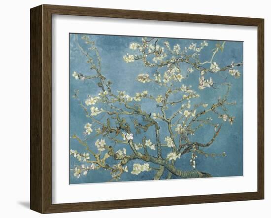 Van Gogh's Almond Blossom-Vincent Van Gogh-Framed Art Print