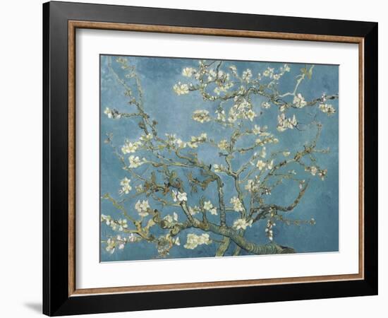 Van Gogh's Almond Blossom-Vincent Van Gogh-Framed Art Print