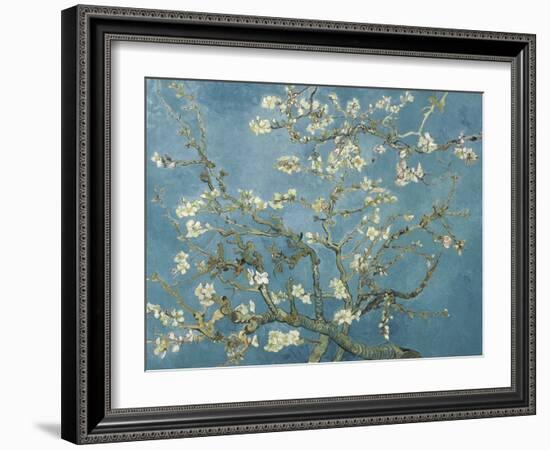 Van Gogh's Almond Blossom-Vincent Van Gogh-Framed Art Print