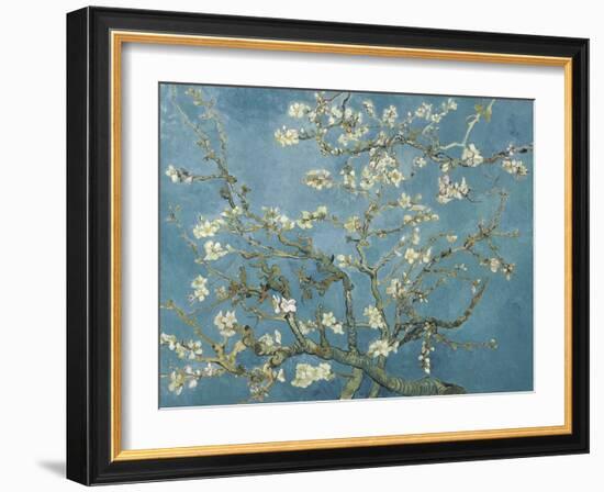 Van Gogh's Almond Blossom-Vincent Van Gogh-Framed Art Print