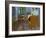 Van Gogh's Bedroom-Vincent van Gogh-Framed Giclee Print