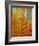 Van Gogh's Chair, c.1888-Vincent van Gogh-Framed Art Print