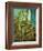 Van Gogh's Chair, c.1888-Vincent van Gogh-Framed Giclee Print