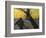 Van Gogh: Sower, 1888-Vincent van Gogh-Framed Giclee Print