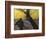 Van Gogh: Sower, 1888-Vincent van Gogh-Framed Giclee Print