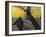 Van Gogh: Sower, 1888-Vincent van Gogh-Framed Giclee Print