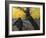 Van Gogh: Sower, 1888-Vincent van Gogh-Framed Giclee Print