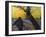 Van Gogh: Sower, 1888-Vincent van Gogh-Framed Giclee Print