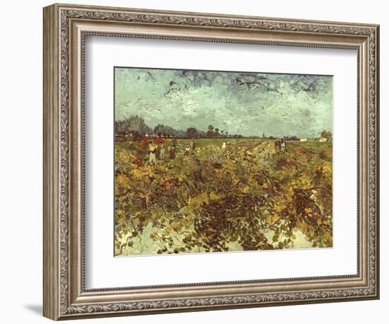 Van Gogh: Vineyard, 1888-Vincent van Gogh-Framed Giclee Print