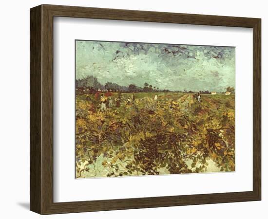 Van Gogh: Vineyard, 1888-Vincent van Gogh-Framed Giclee Print