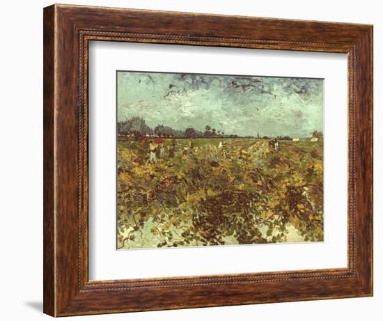 Van Gogh: Vineyard, 1888-Vincent van Gogh-Framed Giclee Print