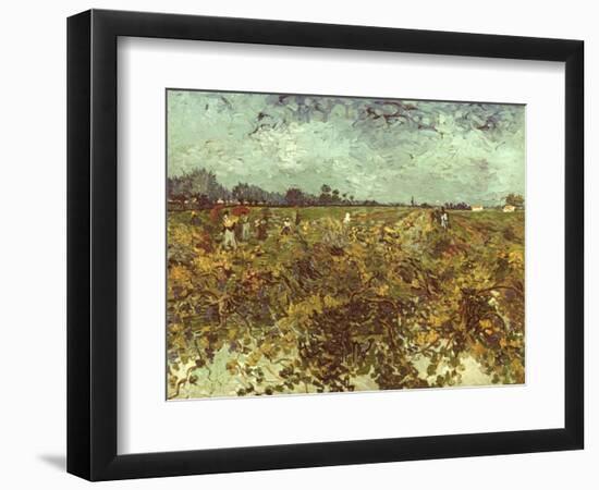 Van Gogh: Vineyard, 1888-Vincent van Gogh-Framed Giclee Print