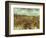 Van Gogh: Vineyard, 1888-Vincent van Gogh-Framed Giclee Print