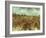 Van Gogh: Vineyard, 1888-Vincent van Gogh-Framed Giclee Print