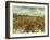 Van Gogh: Vineyard, 1888-Vincent van Gogh-Framed Giclee Print