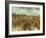 Van Gogh: Vineyard, 1888-Vincent van Gogh-Framed Giclee Print