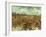 Van Gogh: Vineyard, 1888-Vincent van Gogh-Framed Giclee Print