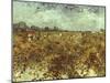 Van Gogh: Vineyard, 1888-Vincent van Gogh-Mounted Giclee Print