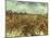 Van Gogh: Vineyard, 1888-Vincent van Gogh-Mounted Giclee Print