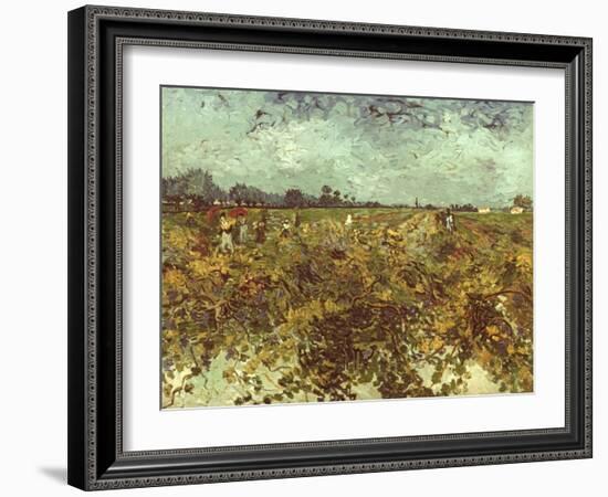 Van Gogh: Vineyard, 1888-Vincent van Gogh-Framed Giclee Print