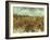 Van Gogh: Vineyard, 1888-Vincent van Gogh-Framed Giclee Print