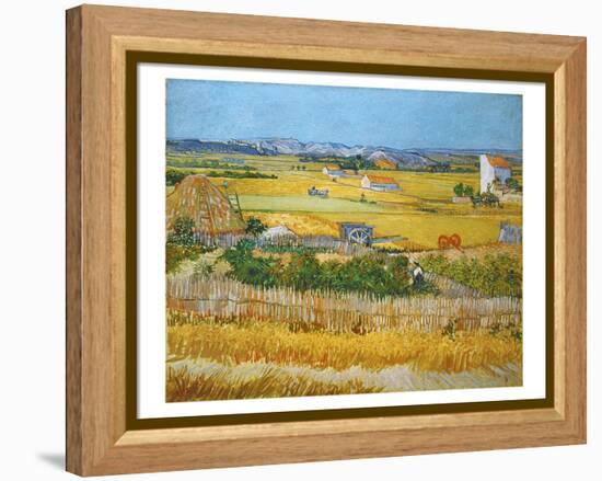 Van Gogh: Wheatfield, 1888-Vincent van Gogh-Framed Premier Image Canvas