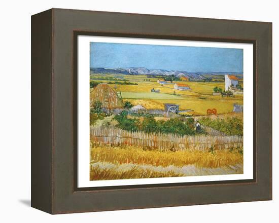 Van Gogh: Wheatfield, 1888-Vincent van Gogh-Framed Premier Image Canvas