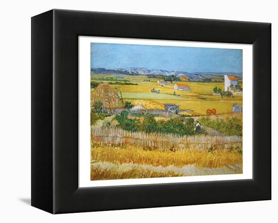 Van Gogh: Wheatfield, 1888-Vincent van Gogh-Framed Premier Image Canvas