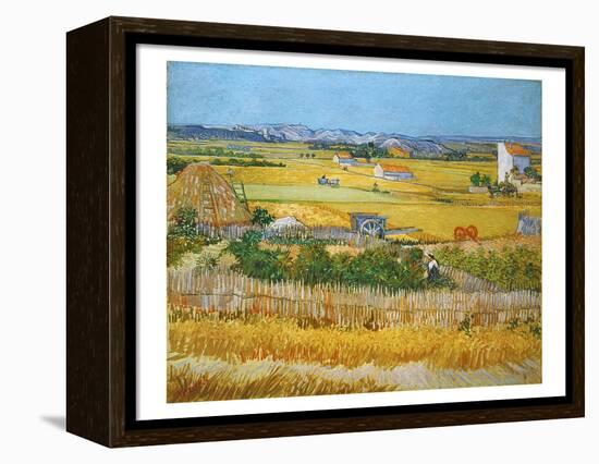 Van Gogh: Wheatfield, 1888-Vincent van Gogh-Framed Premier Image Canvas